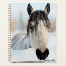 Beautiful Horse Planner