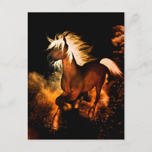Beautiful horse postcard