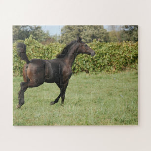 Beautiful Horse Prancing in a Field Jigsaw Puzzle