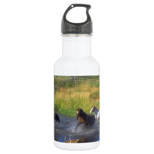 Beautiful Horse Ranch Destiny Nature 532 Ml Water Bottle