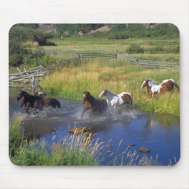 Beautiful Horse Ranch Destiny Nature Mouse Pad (Front)