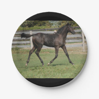Beautiful Horse Running in the field Paper Plate