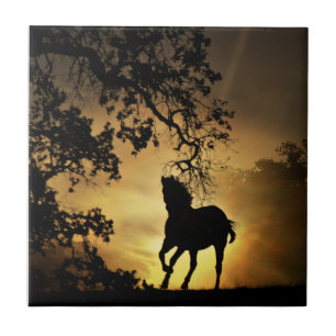 Beautiful Horse Running in the Sunset Art Tile