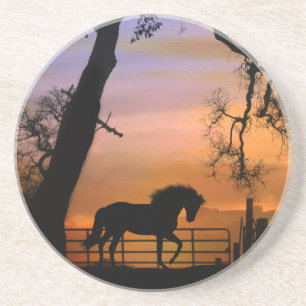 Beautiful Horse Sandstone Coasters