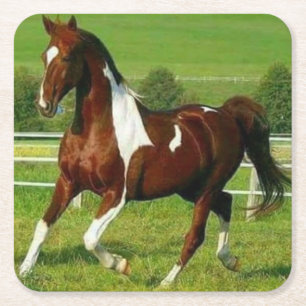 Beautiful Horse Square Paper Coaster