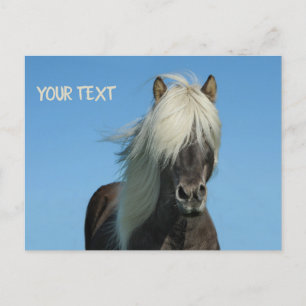 Beautiful horse under the blue sky postcard