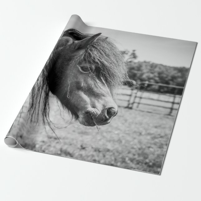 BEAUTIFUL HORSE WRAPPING PAPER (Unrolled)