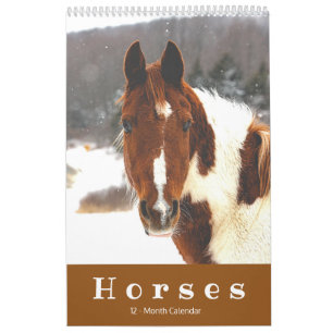 Beautiful Horses 12-Month Horse Calendar