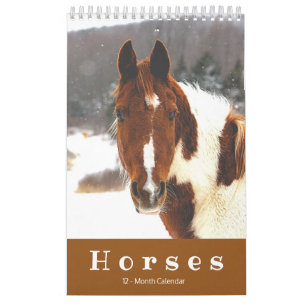 Beautiful Horses 12-Month Small Horse Calendar