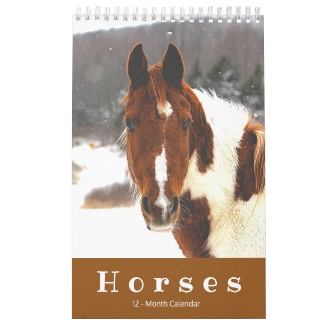 Beautiful Horses 12-Month Small Horse Calendar (Cover)