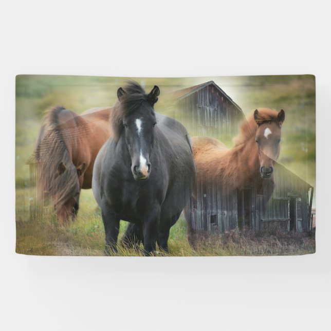 Beautiful Horses and Rustic Barn Banner (Horizontal)
