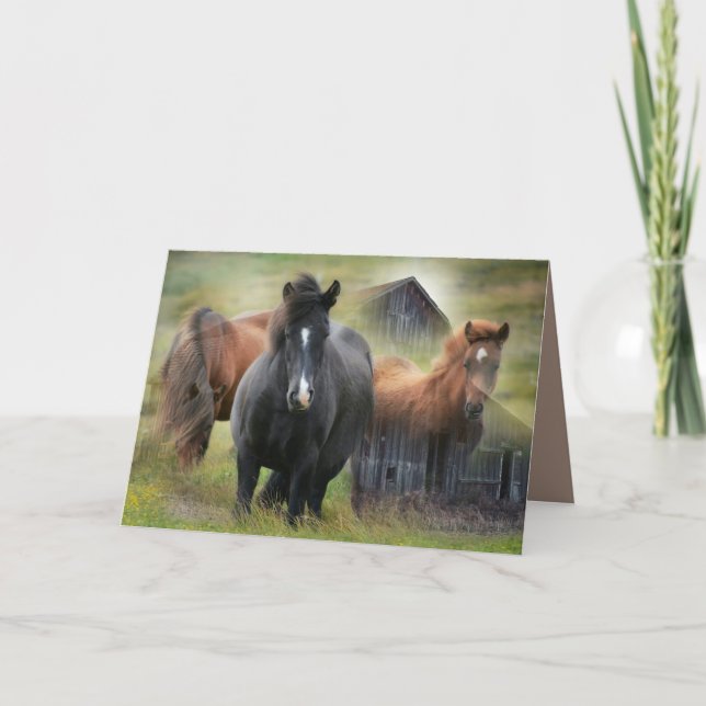 Beautiful Horses and Rustic Barn Card (Front)