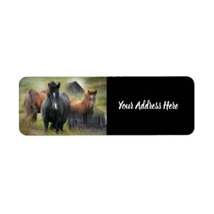 Beautiful Horses and Rustic Barn Label Return Address Label