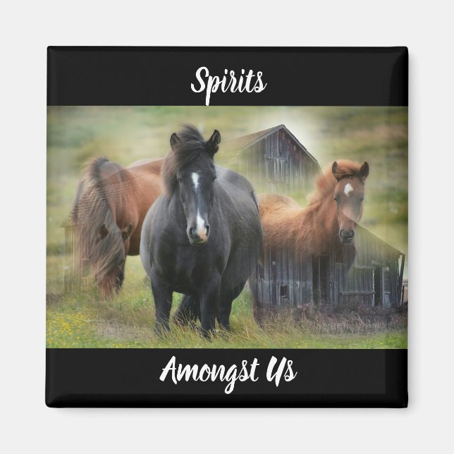 Beautiful Horses and Rustic Barn Magnet (Front)