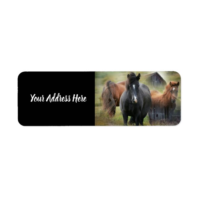Beautiful Horses and Rustic Barn Return Address Label (Front)
