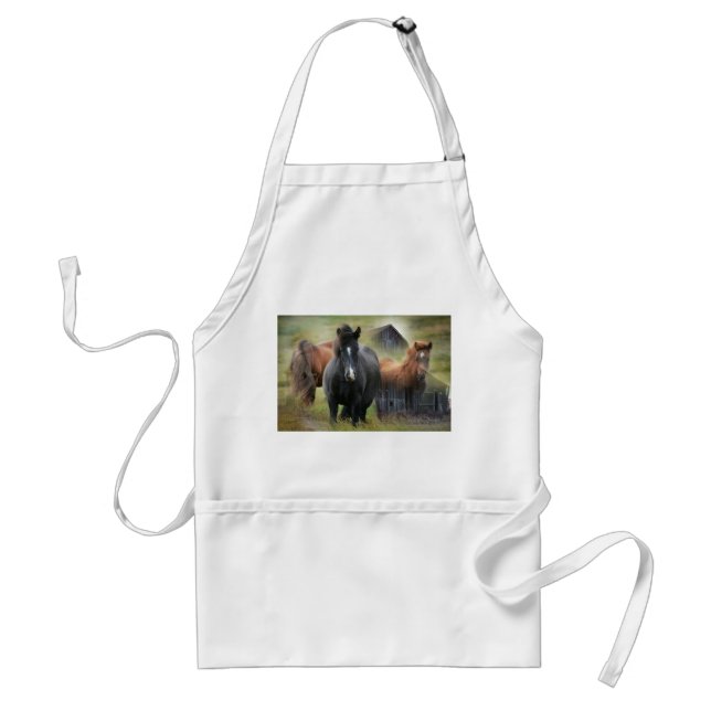 Beautiful Horses and Rustic Barn Standard Apron (Front)