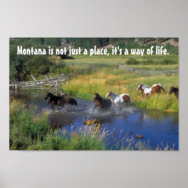 Beautiful Horses Cross a Mountain Stream Poster (Front)