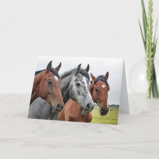 Beautiful Horses Equestrian Horse Design Card