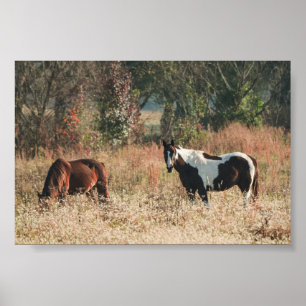 Beautiful HORSEs Fall Archival Poster Print