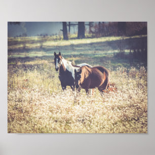 Beautiful Horses Farm Animals Poster