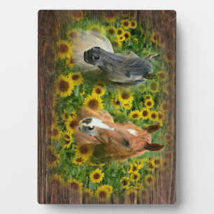 Beautiful Horses in Field of Sunflowers Plaque