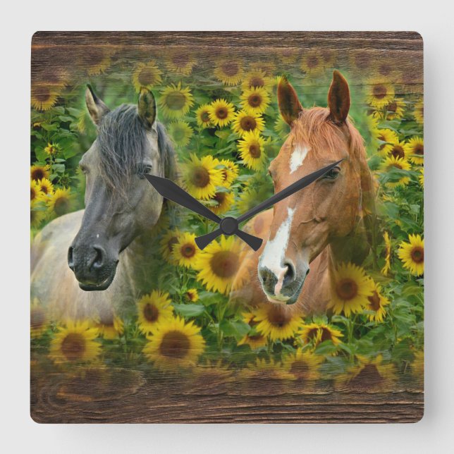 Beautiful Horses in Field of Sunflowers Square Wall Clock (Front)