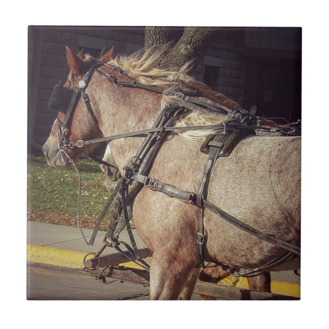 Beautiful Horses Tile (Front)
