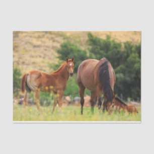 Beautiful Horses Tissue Paper