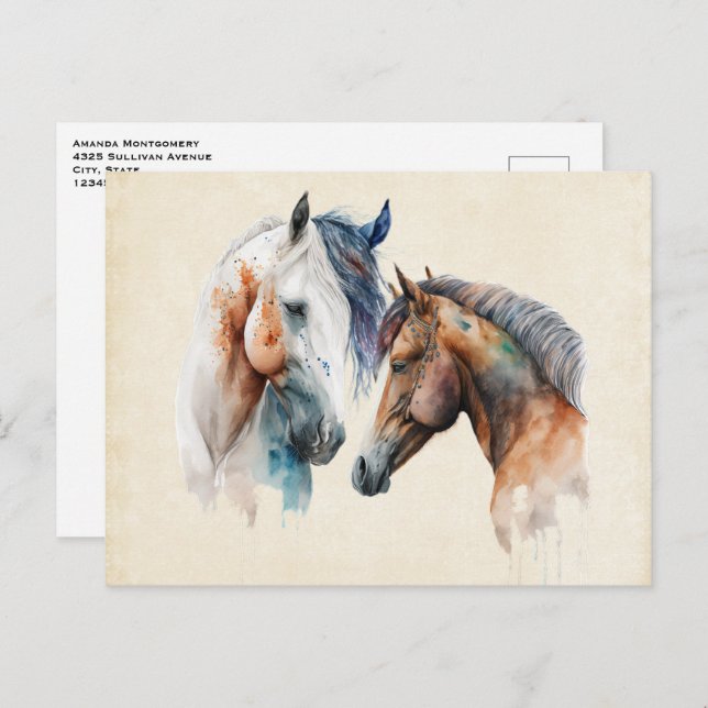 Beautiful Horses Western Boho Style Postcard (Front/Back)