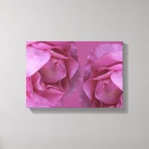 Beautiful hot pink roses simple modern floral art