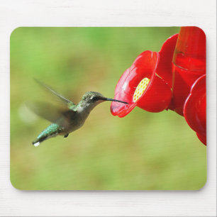 Beautiful Hummingbird Feeding Mouse Pad