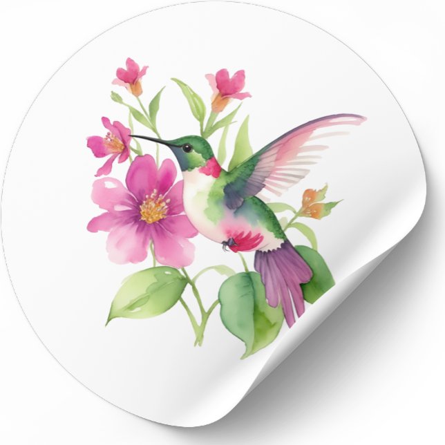 Beautiful hummingbird flowers illustration classic round sticker (Creator Uploaded)