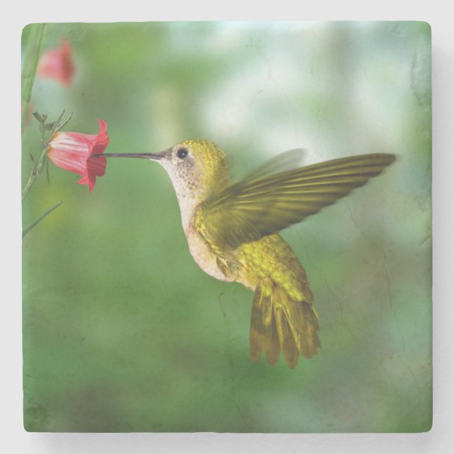 Beautiful Hummingbird in Flight Stone Coaster (Front)