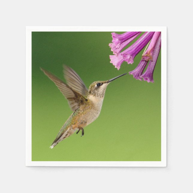 Beautiful Hummingbird Nature Scenery Napkin (Front)