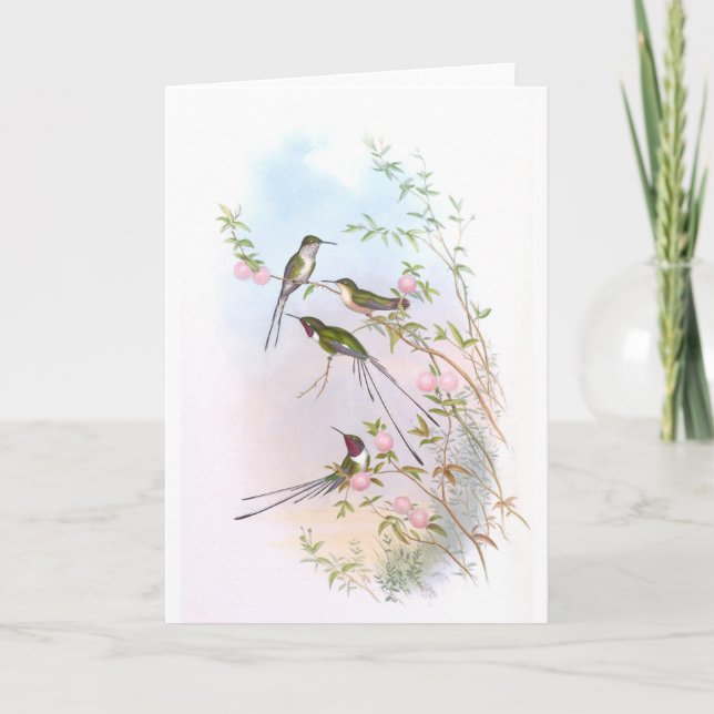 BEAUTIFUL HUMMINGBIRDS HOLIDAY CARD (Front)