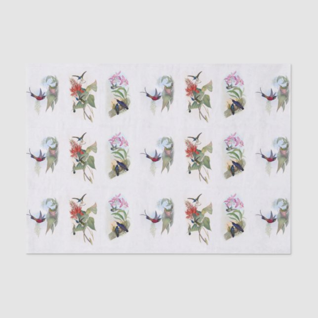 Beautiful Hummingbirds Vintage Art Tissue Paper (Front)