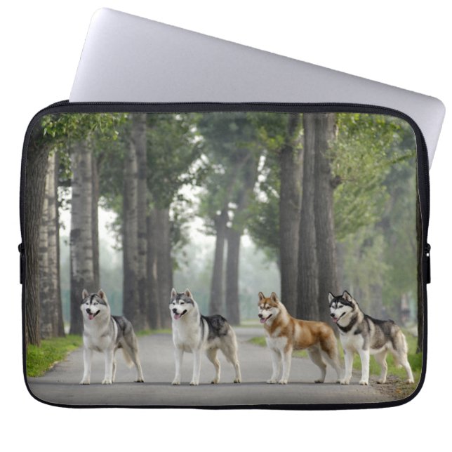 Beautiful Husky Dogs on a Nature Trail Laptop Sleeve (Front)