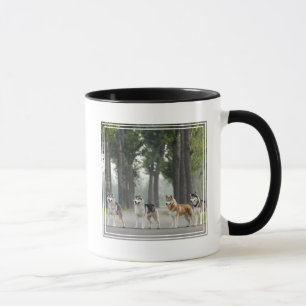 Beautiful Husky Dogs on a Nature Trail Mug