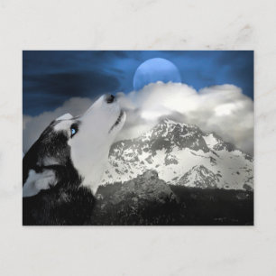 Beautiful Husky Holiday Postcard