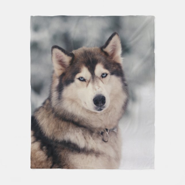 Beautiful Husky in the Outdoors Fleece Blanket (Front)