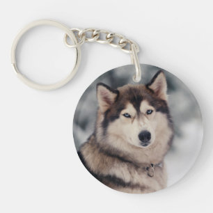 Beautiful Husky in the Outdoors Key Ring