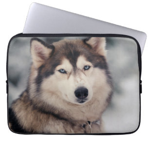 Beautiful Husky in the Outdoors Laptop Sleeve