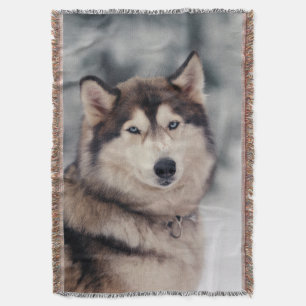Beautiful Husky in the Outdoors Throw Blanket