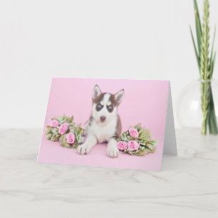 Beautiful Husky Puppy with Pink Roses Card