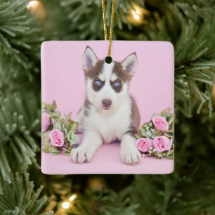 Beautiful Husky Puppy with Pink Roses Ceramic Ornament