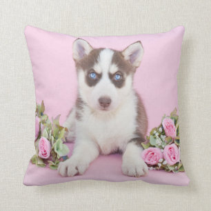 Beautiful Husky Puppy with Pink Roses Cushion