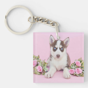 Beautiful Husky Puppy with Pink Roses Key Ring