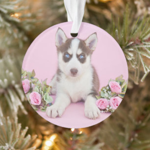 Beautiful Husky Puppy with Pink Roses Ornament