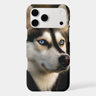 Beautiful Husky Throw Pillow