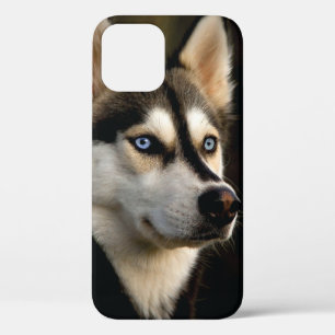 Beautiful Husky Throw Pillow iPhone 12 Pro Case